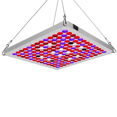 Toplanet LED Grow Lights