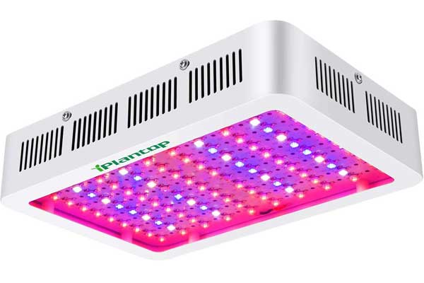 iPlantop LED Grow Light