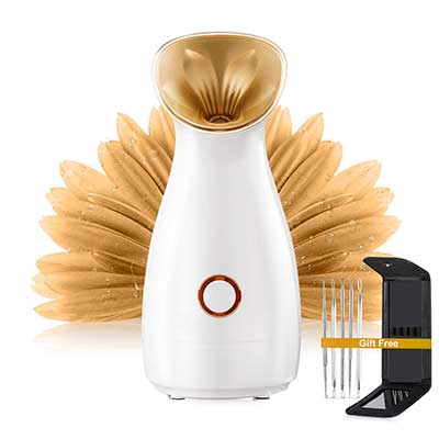 ECVISION Personal Sauna SPA Nano Ionic Warm Mist Facial Steamer