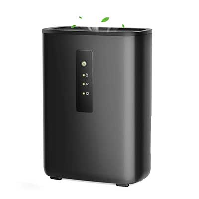 Trustech Electric Dehumidifier