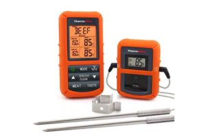 best meat thermometers reviews