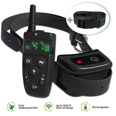 All-New 2019 Dog Training Collar with Remote