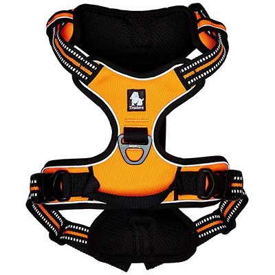 Chai’s Choice Best Outdoor Adventure Dog Harness