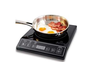 best portable induction cooktops reviews