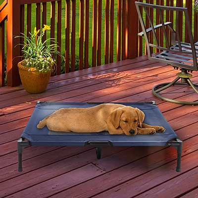 Elevated Pet Bed – Portable Raised Cot-Style Bed