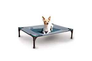 best elevated dog beds reviews