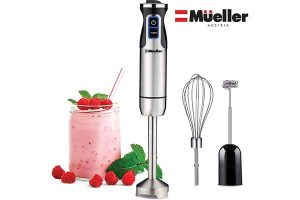 best immersion blender reviews