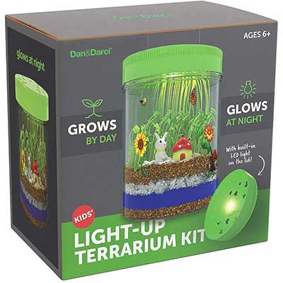 Light-Up Terrarium Kit for Kids