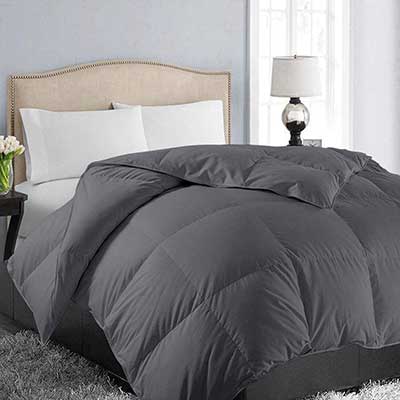 EASELAND All Season Queen Size Soft Quilted Comforter