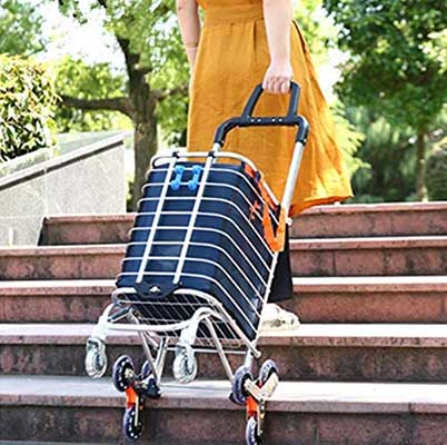 BeebeeRun Folding Shopping Cart