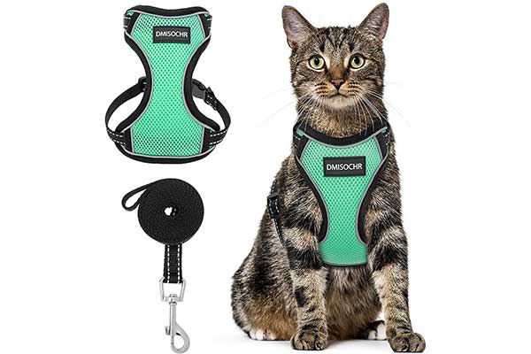 Top 10 Best Cat Harnesses in 2023 Reviews