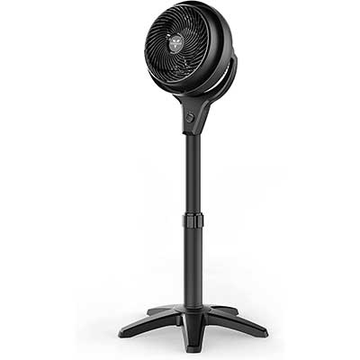 Vornado Whole Room Air Circular Pedestal Fan